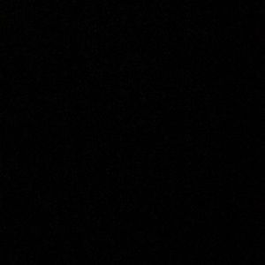 Bred 11s ( not being sold but looking for some )